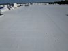 IMG_0602