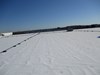 IMG_0610