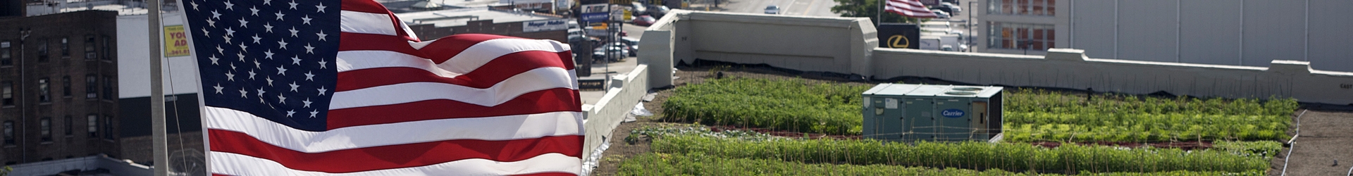 Green_Roofing_2